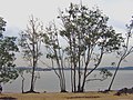 Pasir Ris Beach