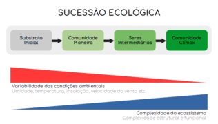 Sucessao ecologica.png