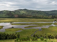 Ein mit Sumpfvegetation und Wasserflächen bedecktes Tal