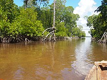 Watamu Mida Creek 5.jpg