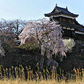 郡山城址公園（奈良県大和郡山市）