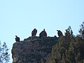 Montejo de la Vega de la Serrezuela, Segovia, Spain