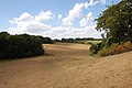 A dry valley on the dip slope of the North Downs near Hucking