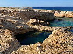 The Natural Pool