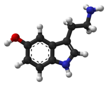 Ball-and-stick model of the serotonin molecule