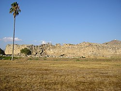 Vy över citadellet i Tiryns.