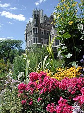 Fleurs du jardin à la française