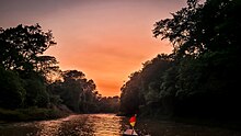 Amanecer en la amazonia Parque Nacional Madidi, Bolivia.