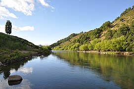 Bio-Bío River