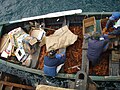 La grande majorité des habitants du village sont des pêcheurs de langoustes.