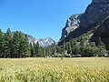 Die Zumwalt Meadows