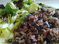 Gallo pinto (au premier plan)