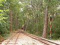 Narrow gauge train