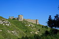 Kudryntsi castle