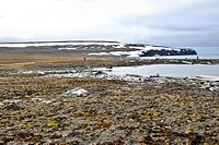 Bennett-Island - New Siberian Islands, (Rùscia)