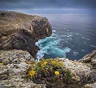 À beira mar plantado.jpg