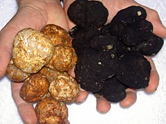 Black White Truffle.JPG