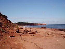 La costa sabbiosa