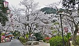 打吹公園（鳥取県倉吉市）