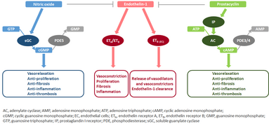 Molecular Pathology.png