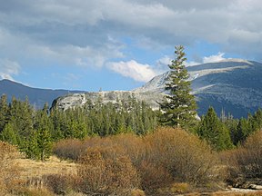 Tuolumne Meadows