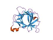 31bi: INTERLEUKIN-1 BETA (IL-1 BETA) (MUTANT WITH CYS 71 REPLACED BY SER) (C71S)