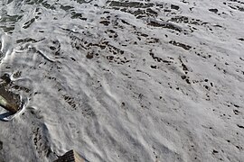 Ocean at Wrightsville Beach.jpg