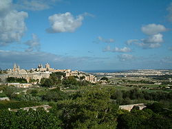 Panorama di Medina