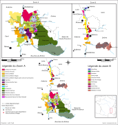 Vignoble de la vallée du Rhône.