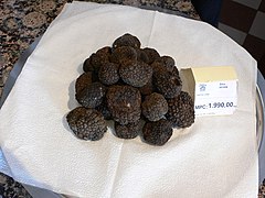 Truffes d'Istria.jpg