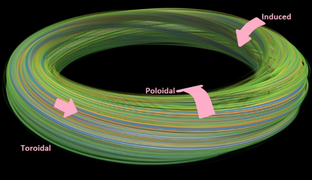 Model of Tokamak Plasma.png