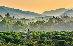 Paesaggio a Jaflong Sylhet