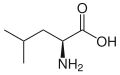 L-Leucine (Leu / L)