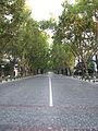 Avenida Pedro de Valdivia