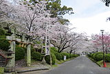 小城公園（佐賀県小城市）