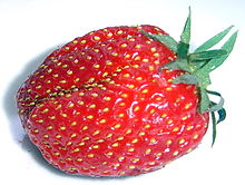 Closeup of a healthy, red strawberry