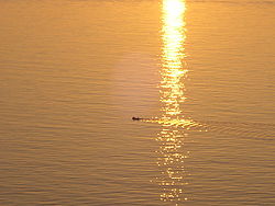 Patmos - Riflesso sul mare della luce del tramonto