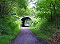 Part of the Worth Way bridleway