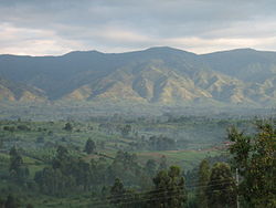 Panorama dei monti Rwenzori