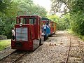 Narrow gauge train