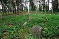 Damaged tombstone