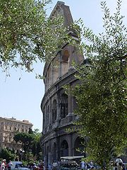 Colosseum behind olive trees