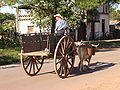 Traditional "Carreta" in Cnel. Oviedo, Paraguay