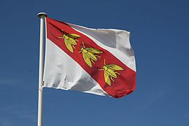 Bandeira de Elba