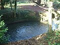 Part of the Ifield Watermill