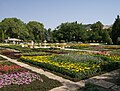 Balchik Palace, the gardens