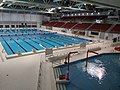 Olympic swimming pool (PEPS building)