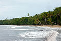 Español: Cahuita