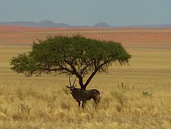 Namibia