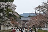 醍醐寺（京都府京都市）